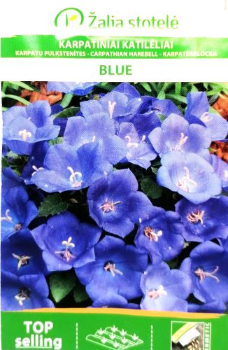 Campanula carpatica Harebell Blue Seed